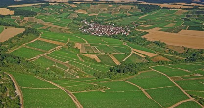 Irancy, Yonne