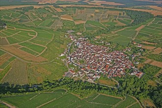 Irancy, Yonne