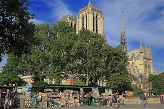 Notre-Dame de Paris cathedral and traditional booksellers, France