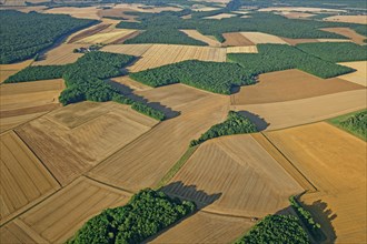 Paysage de la Puisaye, Yonne