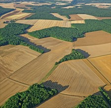 Paysage de la Puisaye, Yonne