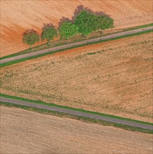 Country landscape, Corrèze, France