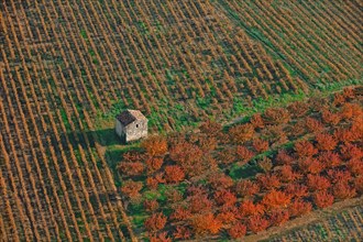 Paysage de verger, Drôme