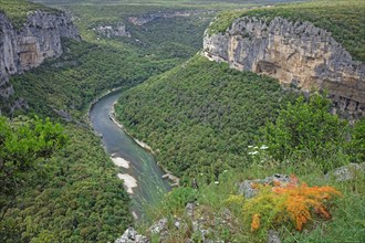 Gorges de l'Ardèche