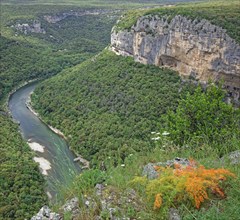 Gorges de l'Ardèche