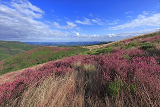 Paysage de l'Ardèche