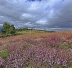 Paysage de l'Ardèche