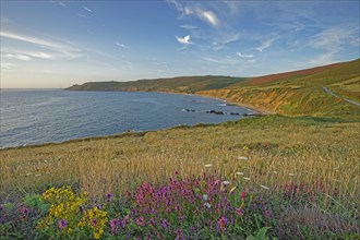 Baie d'Ecalgrain, Manche