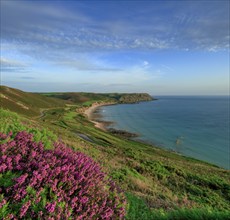 Baie d'Ecalgrain, Manche