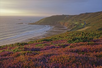 Baie d'Ecalgrain, Manche