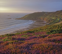 Baie d'Ecalgrain, Manche