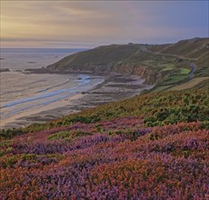 Baie d'Ecalgrain, Manche