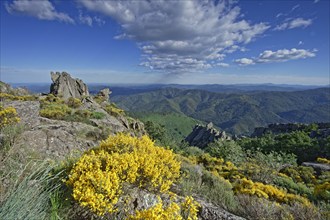 Vialas, Lozère