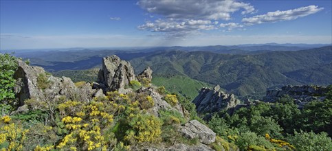 Vialas, Lozère