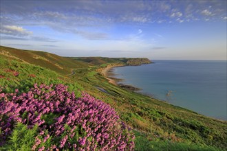 Baie d'Ecalgrain, Manche