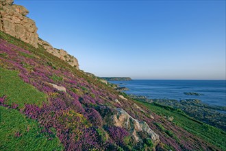 Cap de la Hague, Manche