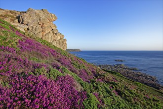 Cap de la Hague, Manche