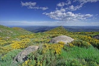 Vialas, Lozère