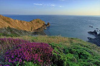 Nez de Jobourg, Manche