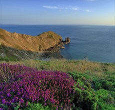 Nez de Jobourg, Manche