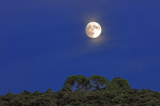 Pleine lune dans le Gard