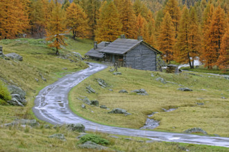 Vallée de la Clarée, Hautes-Alpes