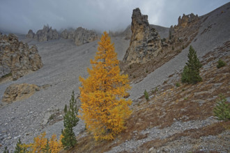 Col de l'Izoard, Hautes-Alpes