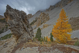 Col de l'Izoard, Hautes-Alpes