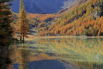 Lac de l'Orceyrette, Hautes-Alpes