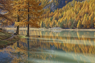 Lac de l'Orceyrette, Hautes-Alpes