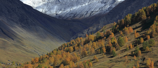 Vallon du Goléon, Hautes-Alpes