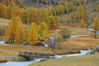 Vallée de la Clarée, Hautes-Alpes