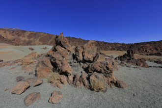 Espagne, iles Canaries, Tenerife, parc National du Teide, Las Minas de San José / Spain, Canary