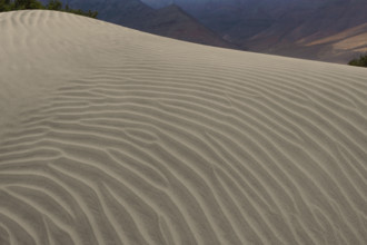 Espagne, Iles Canaries, Lanzarote, Famara, les dunes de sable blanc / Spain, Canary Islands,