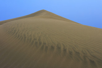 Espagne, iles Canaries, Las Palmas, dunes de Maspalomas, réserve naturelle, commune de San