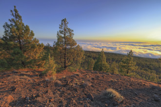 Espagne, Iles Canaries, Ténérife, Parc National Del Teide, panorama, coucher de soleil sur la mer