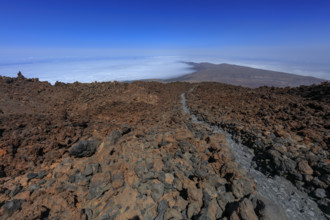 Espagne, iles Canaries, Tenerife, parc National du Teide, depuis la pente du volcan, vue sur la mer