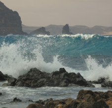 Espagne, Iles Canaries, Lanzarote, Haria, paysage cotier la Punta Fariones à  Orzola / Spain,