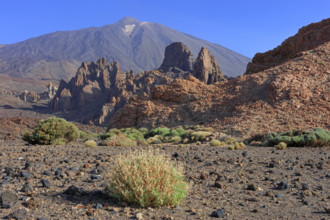 Espagne, Iles Canaries, Ténérife, Parc National Del Teide, la plaine Liano de Ucanca, au fond le