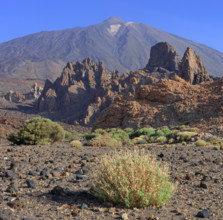 Espagne, Iles Canaries, Ténérife, Parc National Del Teide, la plaine Liano de Ucanca, au fond le