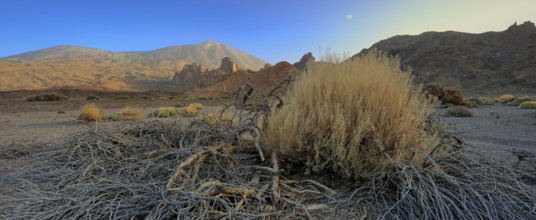 Espagne, Iles Canaries, Ténérife, Parc National Del Teide, la plaine Liano de Ucanca, au fond le