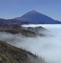 Espagne, Iles Canaries, Ténérife, Parc National Del Teide, mirador deChipeque, volcan del Teide /