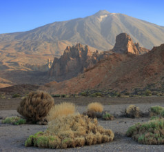 Espagne, Iles Canaries, Ténérife, Parc National Del Teide, la plaine Liano de Ucanca, au fond le