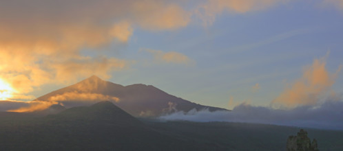 Espagne, iles Canaries, Tenerife, parc National du Teide, paysage avec le volcan du Teide au