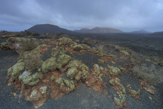 Espagne, Iles Canaries, Lanzarote, paysage volcanique, Parc Naturel de Timanfaya, réserve Biosphère