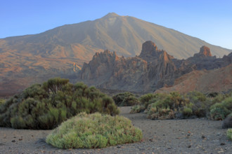 Espagne, Iles Canaries, Ténérife, Parc National Del Teide, la plaine Liano de Ucanca, au fond le