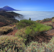 Espagne, Iles Canaries, Ténérife, Parc National Del Teide, mirador deChipeque, volcan del Teide /