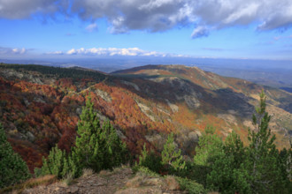 France, Gard(30) Cévennes, le mont Lozère, rocher de l'Aigle, paysage en automne / France, Gard,