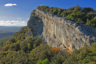 France, Gard(30) Allègre-les-Fumades, espace naturel Natura 2000, Falaise du massif du Bouquet, les