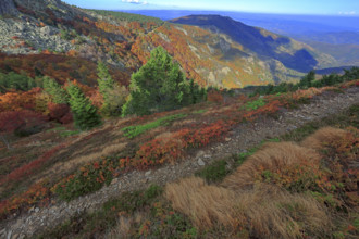 France, Gard(30) Cévennes, le mont Lozère, rocher de l'Aigle, paysage en automne / France, Gard,